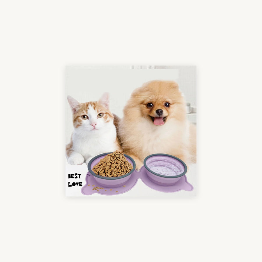 Collapsible Double Travel Bowl