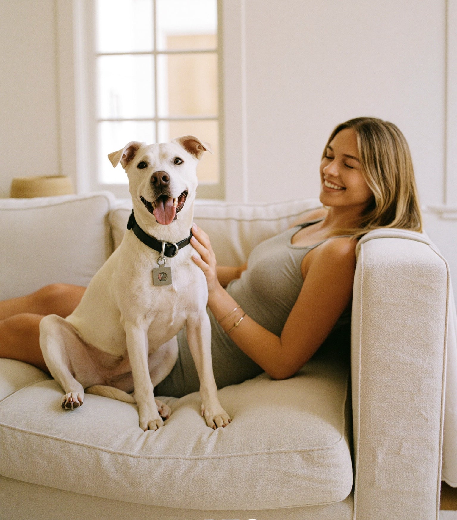 Start with the kit that handles fur and dirty paws.