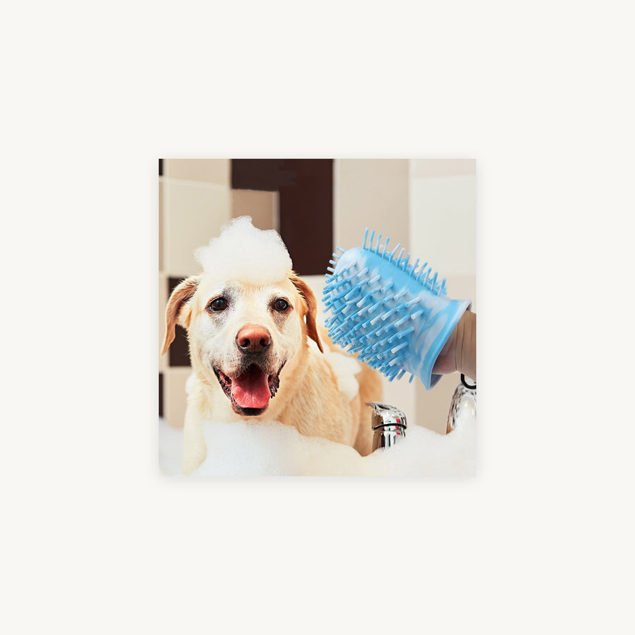 Paw Washer Cup
