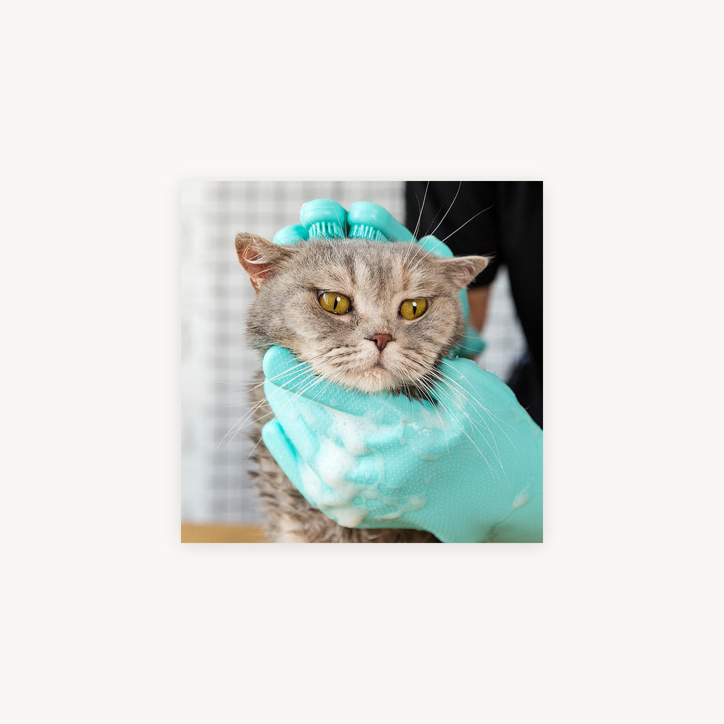 Pet grooming glove pair supplier product photo 6
